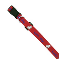 3/4" Dog Collar (Direct Import - 10 Weeks Ocean)